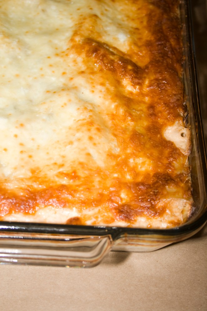Creamy White Chicken and Artichoke Lasagna02