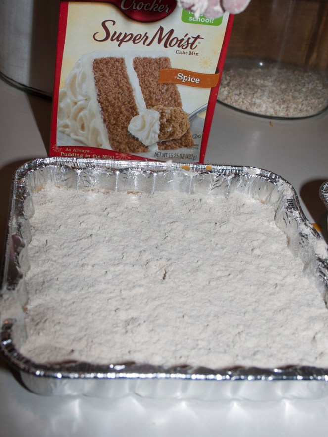 Pumpkin Crunch Cake03