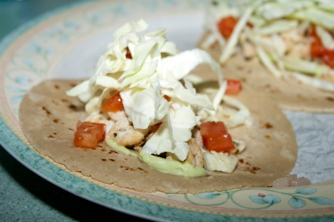 Fish Tacos with Tequila Lime Avocado Creme