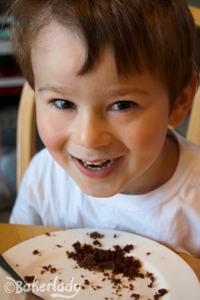 Mom's Chocolate Chip Zucchini Cake Perfection - Bakerlady
