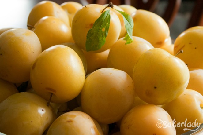 Plum Cake Bread - Bakerlady