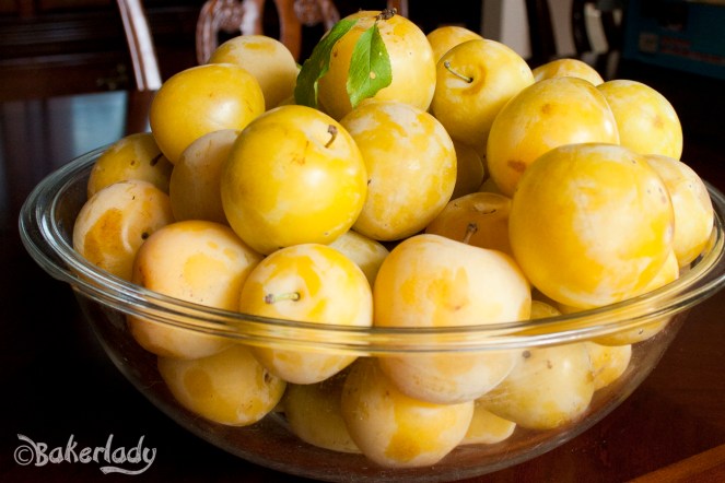 Plum Cake Bread - Bakerlady