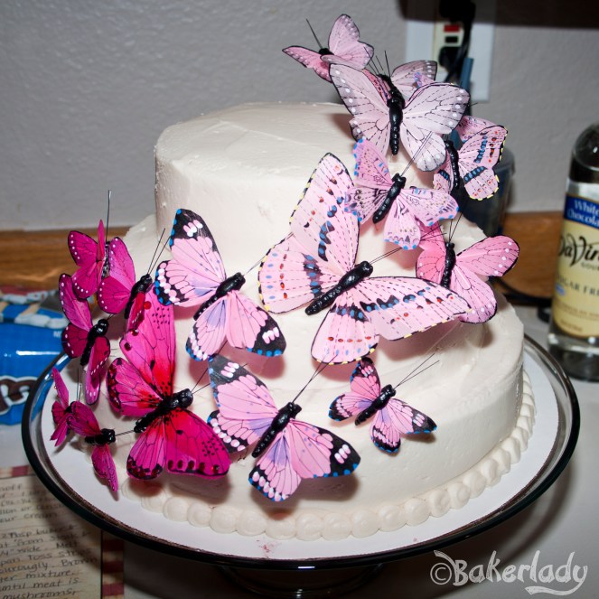 Butterflies Cake