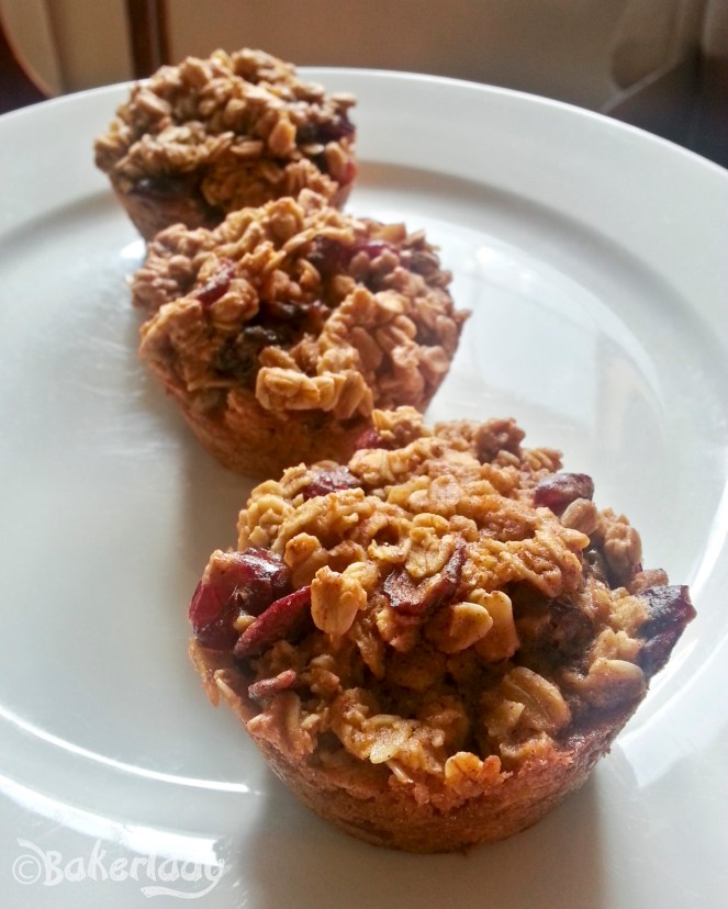 Oatmeal to go Pumpkin Cranberry Muffins - Bakerlady
