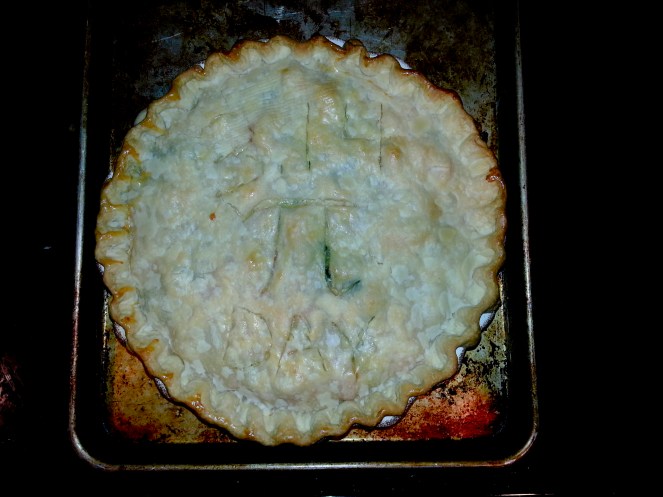 Pi Day Chicken Pot Pie - Bakerlady